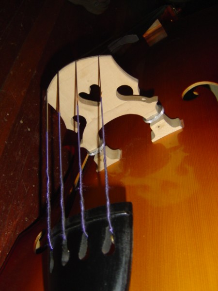 Detail of strings attached to violin over bridge.